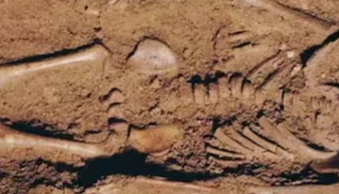 16 months old boy 17000 year old remains found in archaeological site in Italy