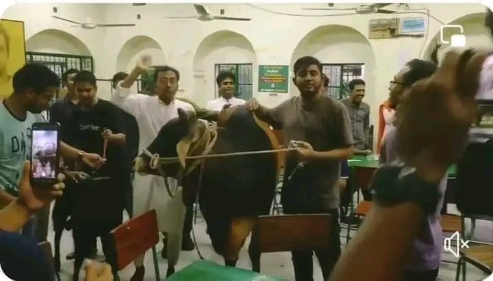 Bangladesh university students threaten to slaughter cow, demand beef at Hindu canteen; sparks outrage (WATCH) shk