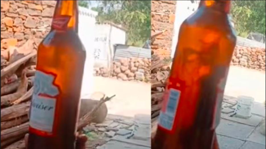 Telangana consumer finds Lizard in a Budweiser beer video viral