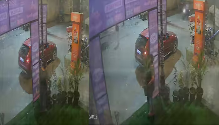 Caught on camera: Woman arrives in BMW, steals flower pot kept outside shop in Noida (WATCH) shk