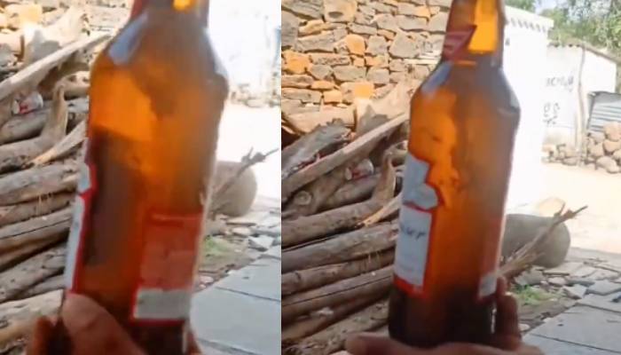 dead lizard in beer bottle video from Telangana 