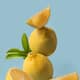 Use this sour in sharbat instead of lemon in summer mrq
