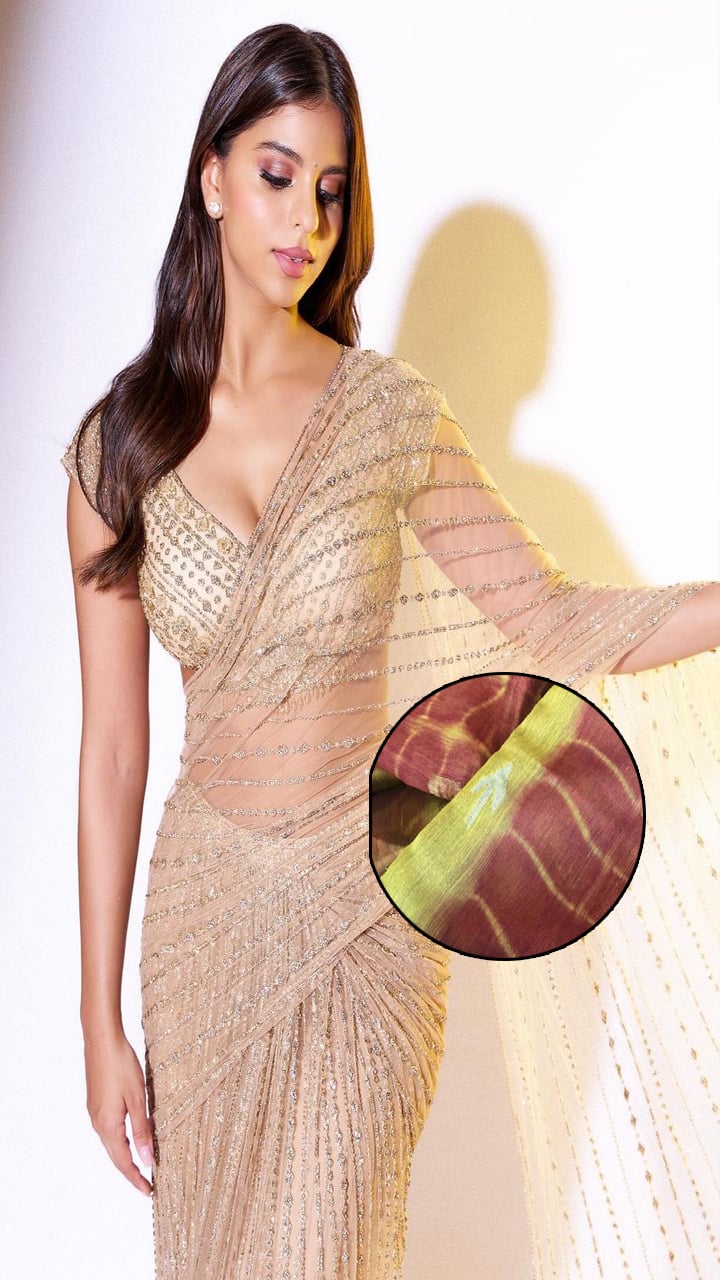 How to Fix a Torn Expensive Saree: 7 DIY Hacks anr