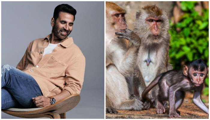 Akshay Kumar Donates Rs 1 Crore for Feeding Monkeys in Ayodhya