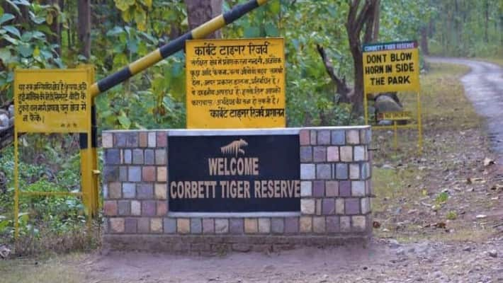 Jim Corbett National Park: Unforgettable winter safari experiences await you NTI