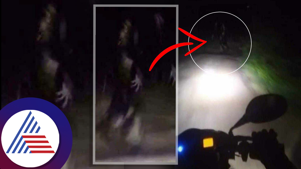 Ghost spotted in Shivamogga near Kargal road and photo goes viral sat