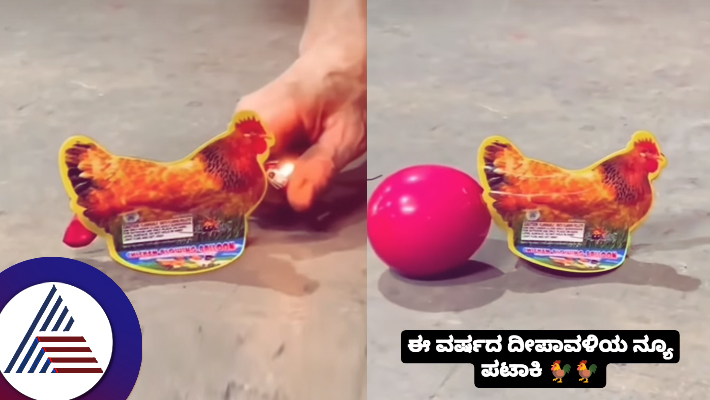 If a chicken is set on fire it will lay eggs New cracker on Deepavali gone viral suc