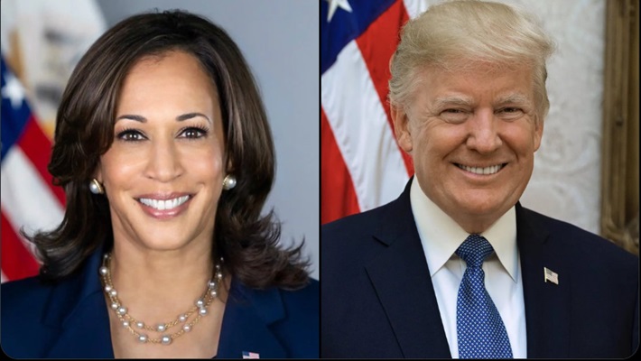 Who will win Donald Trump or Indian origin Kamala Harris in US Elections 2024 grg 