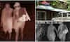 Kuruva theft gang in Kerala arrive half naked with faces covered Alappuzha extremely careful police