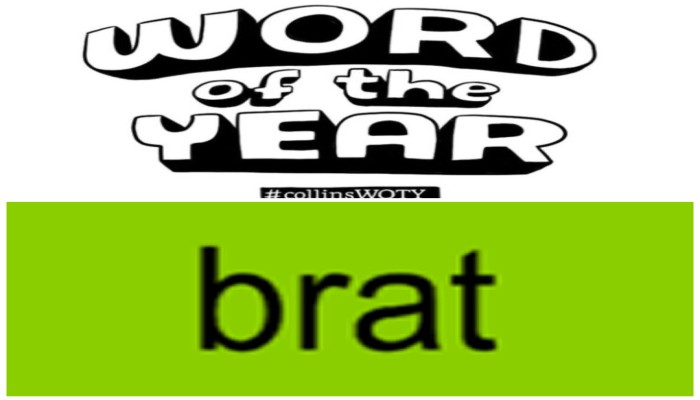 Charli XCX's 'Brat' named Collins Word of the Year 2024. Here's what it means shk