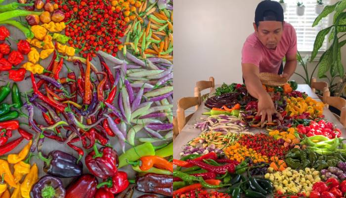 35 varieties of pepper video went viral  