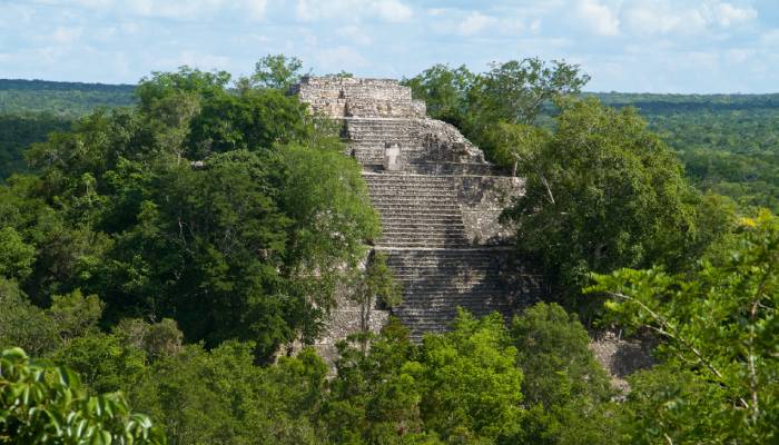 mayan city found in mexican jungle named Valeriana