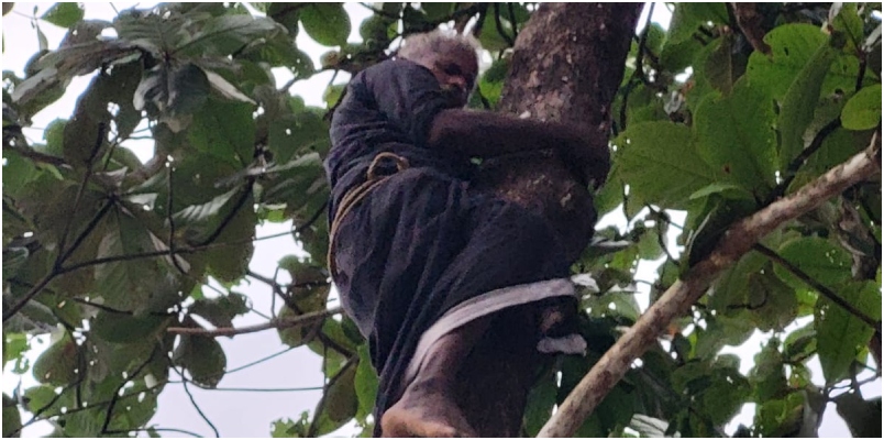 middle aged man climbed a tree and threatened to commit suicide fire force brought him down in Thodupuzha