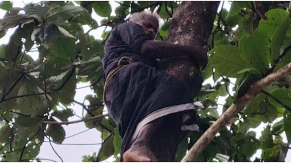 middle aged man climbed a tree and threatened to commit suicide fire force brought him down in Thodupuzha