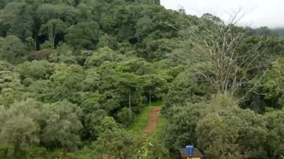 20 Sabarimala pilgrims trapped in forest  Pullumedu traditional route 