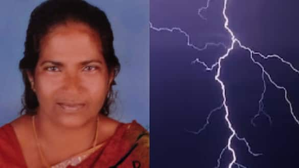 government farm woman worker killed by lightning in haripad