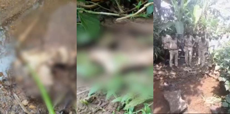 Body parts of human including skull and legs found from idukki police start investigation