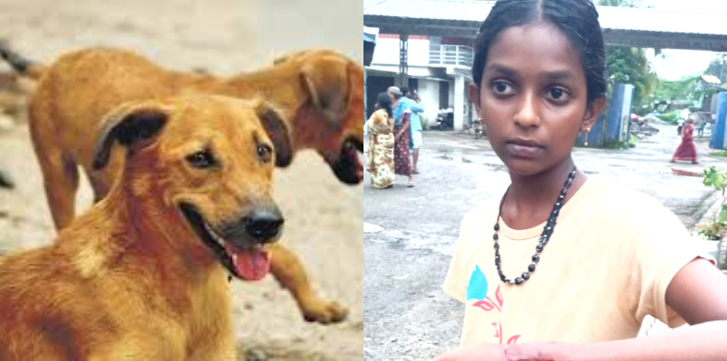 minor student and four injured in stray dog attack in alappuzha