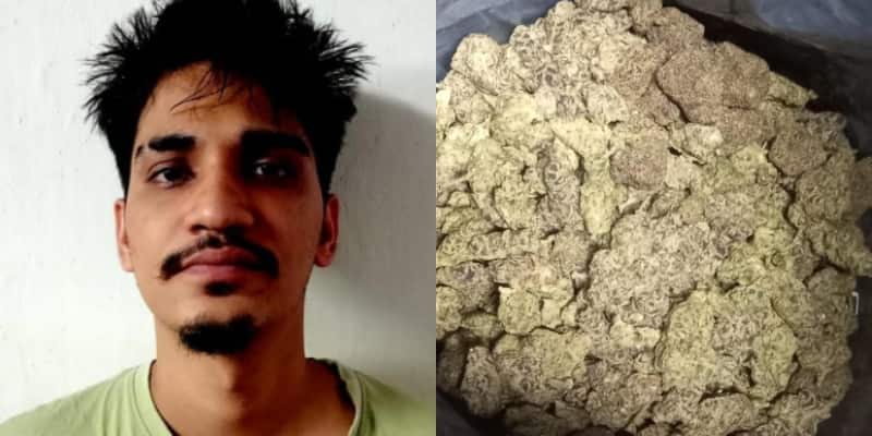 CCB police seize hydro weed ganja, arrest peddler