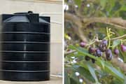 Water Tank Cleaning: How to use Jamun Wood sgb