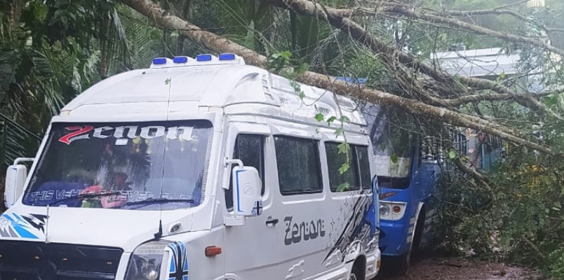 Due to heavy rain and wind tree fell on bus and traveler Kozhikode 