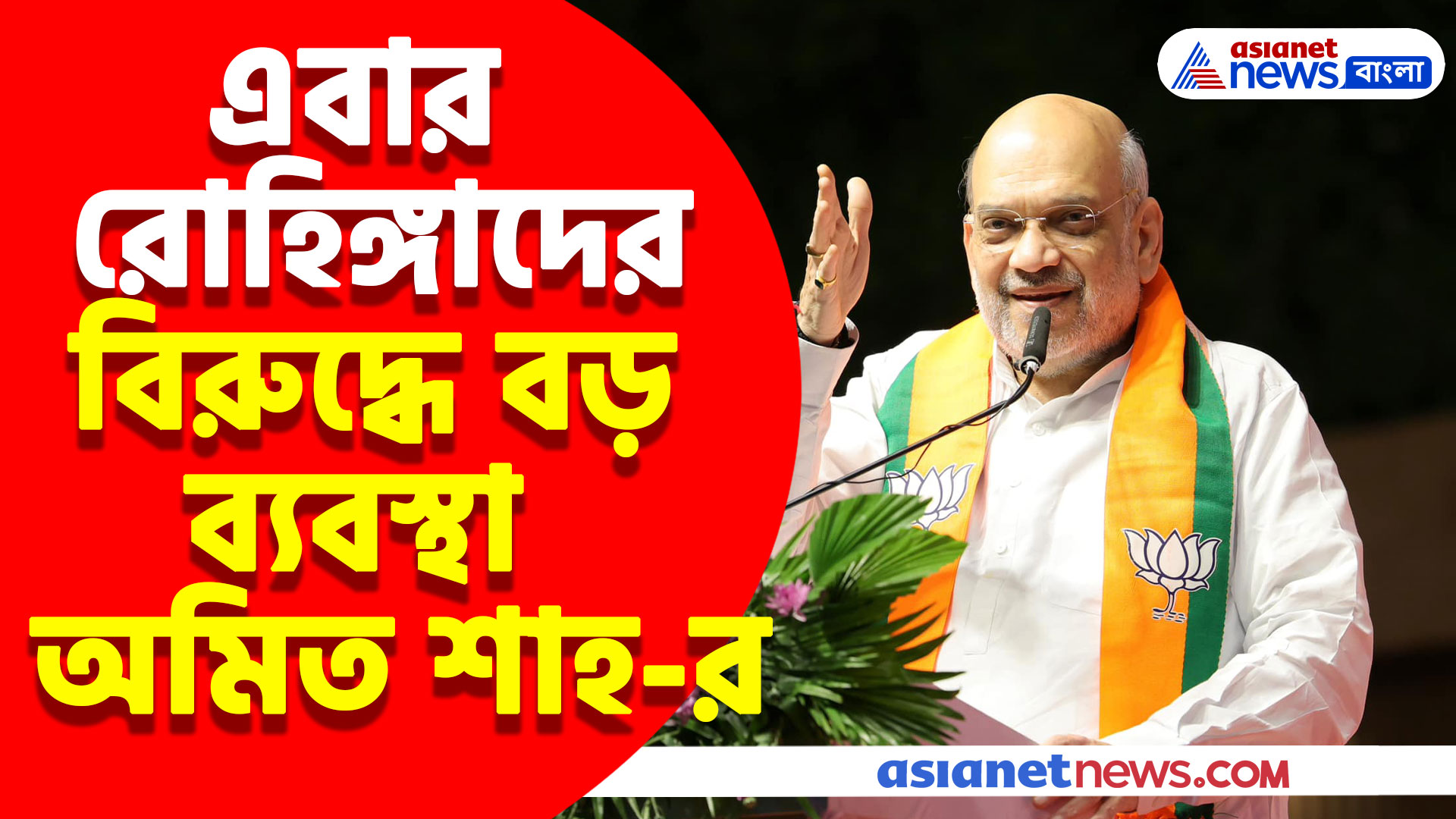 এবার রোহিঙ্গাদের বিরুদ্ধে বড় ব্যবস্থা অমিত শাহ-র, দেখুন কী বললেন তিনি