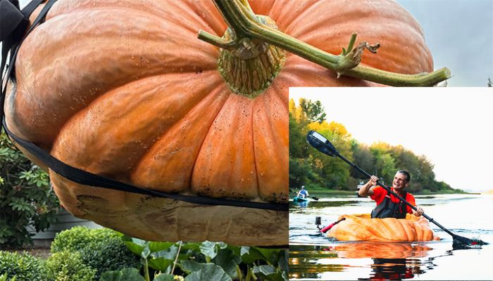 US Man Carves Boat out of 555 kg pumpkin Sail 75 KM In River san