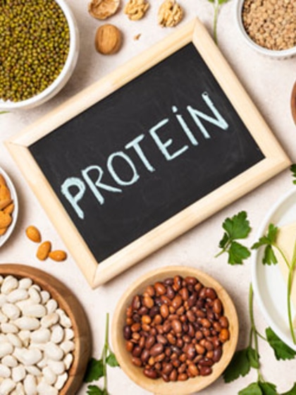 Guide to optimal wellness: Top protein sources to boost your health