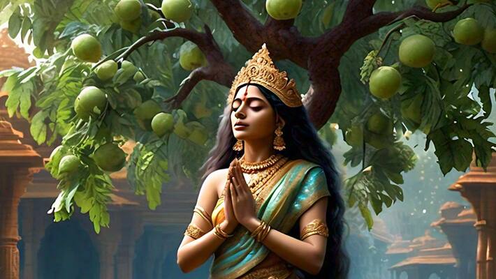 aamla navmi 2024