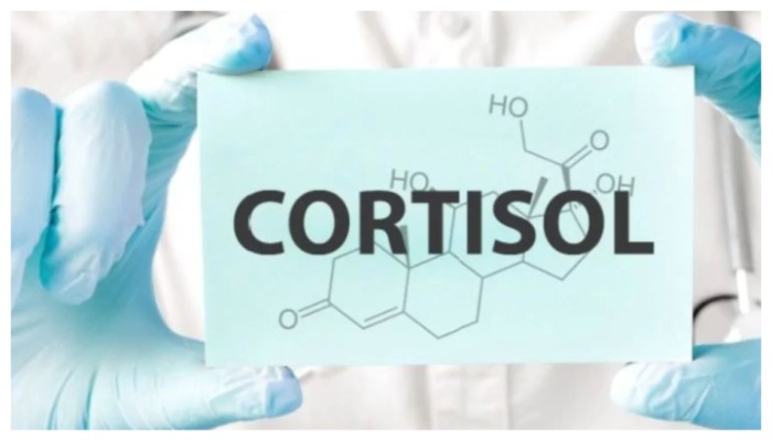 How to control high levels of the stress hormone cortisol