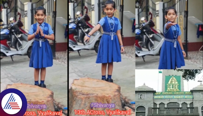 Bengaluru girl Shivanya promised to plant saplings for BBMP in Vyalikaval sat