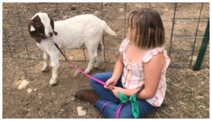 11 year old girl get compensation Rs 2.5 Crore after california sheriff's  officer kills her pet goat 