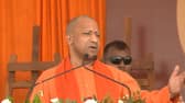 Maha Aghadi? More like 'Maha Anaadi',' says CM Yogi Adityanath in fiery speech AJR