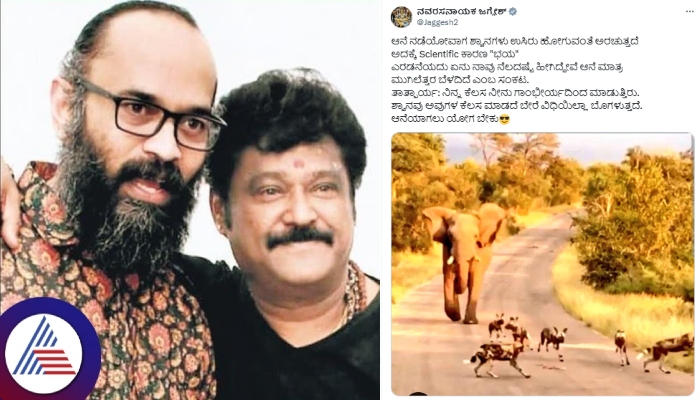 Director Guruprasad Death after actor Jaggesh replies to trollers you are like dogs sat