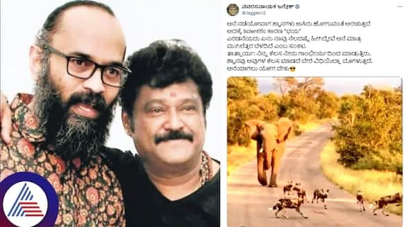 Director Guruprasad Death after actor Jaggesh replies to trollers you are like dogs sat