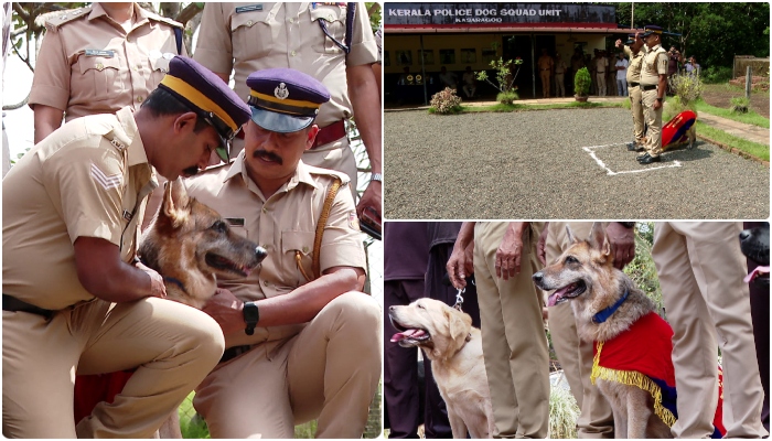 ronnie police dog retired from kerala police service