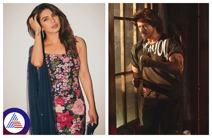 Priyanka Chopra and Shah Rukh Khan friendship news virals aften srb