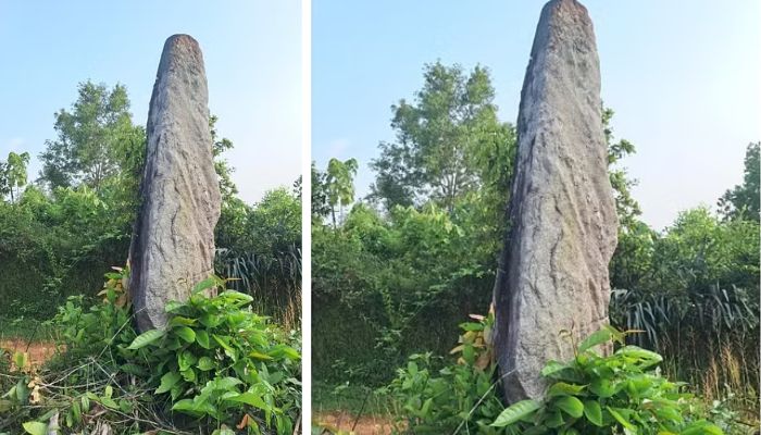 Udupi Six foot tall Gadikallu or menhir from Megalithic period discovered san