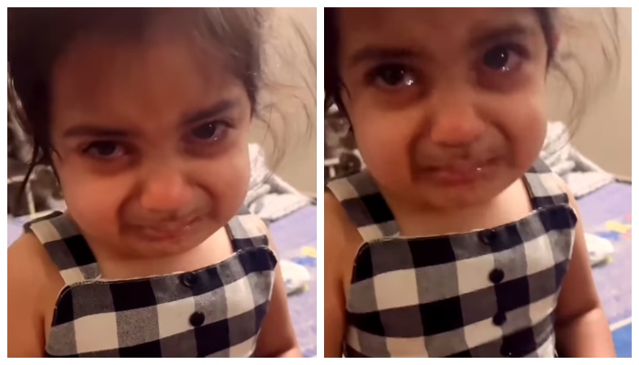 Video of a little girl complaining that his father took her ice cream has gone viral 