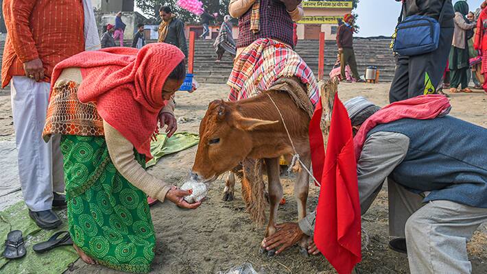 gopashtami 2024
