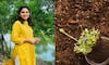 This nurse quit her job to start a vermicompost business; makes Rs 24 lakh in a year now Kavya Dhoble Datkhile iwh