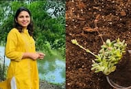 This nurse quit her job to start a vermicompost business; makes Rs 24 lakh in a year now Kavya Dhoble Datkhile iwh