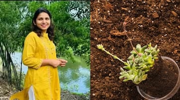 This nurse quit her job to start a vermicompost business; makes Rs 24 lakh in a year now Kavya Dhoble Datkhile iwh