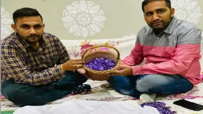 कम लागत, बड़ा मुनाफा: दो भाइयों ने घर में उगाया सबसे महंगा मसाला, अब कमा रहे लाखों
