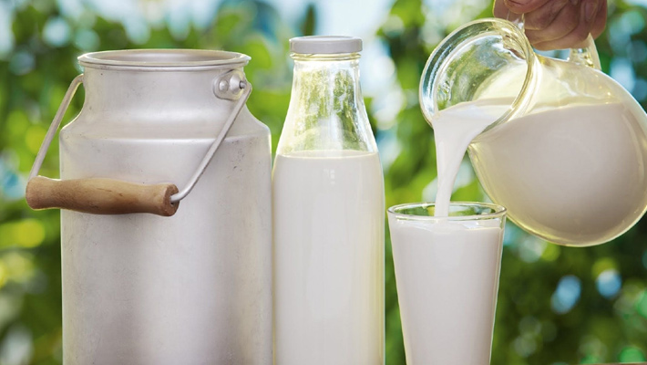 know the importance and history of national milk day 2024