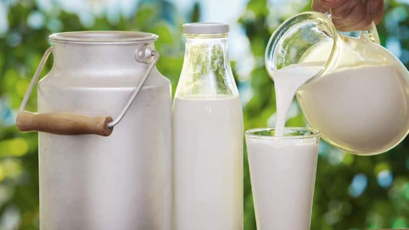 Karnataka milk prices hiked by Rs 4 per litre, to be effective from April 1