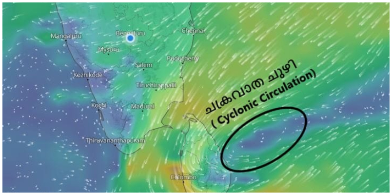 kerala heavy rain alert 3 district orange alert declared heavy rainfall predicted