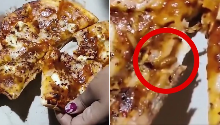 MP man finds crawling worm inside pizza; SHOCKING video sparks food safety concerns (WATCH) shk