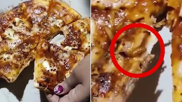 MP man finds crawling worm inside pizza; SHOCKING video sparks food safety concerns (WATCH) shk