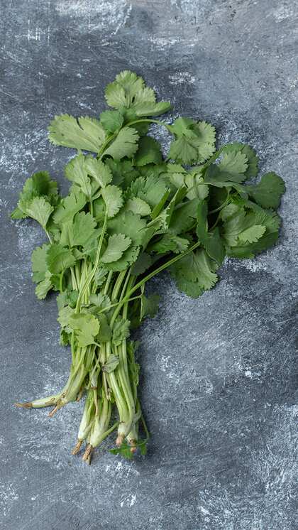 Ingredients for Green Chutney